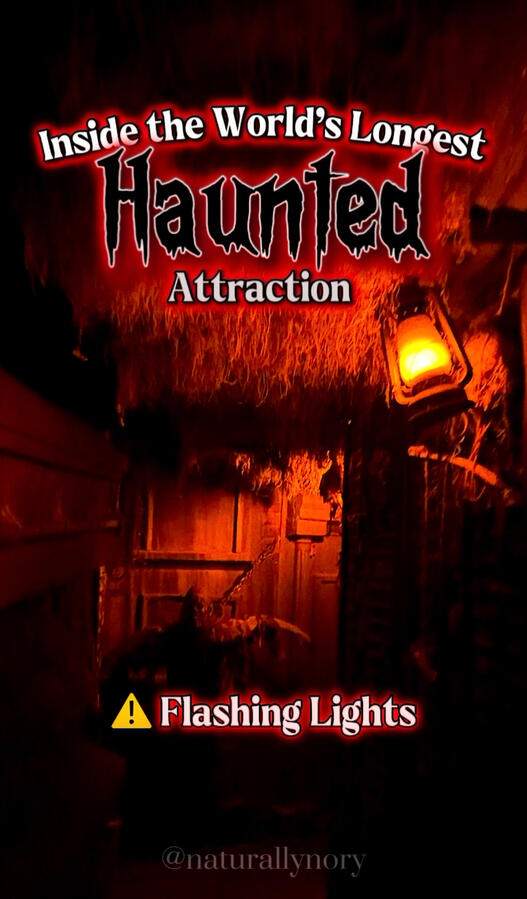 Pure Terror Scream Park