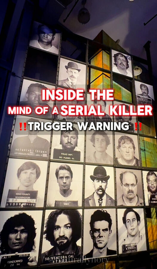 Mind of a Serial Killer